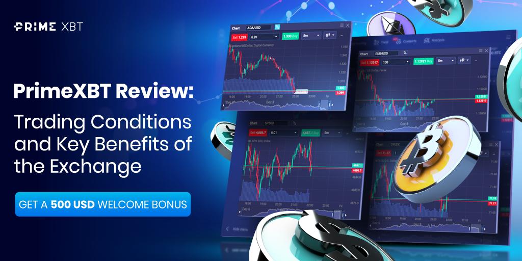 Unlocking the Potential of Trading with Platform PrimeXBT